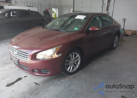 2010 Nissan Maxima S/Sv from USA, damaged, VIN 1N4AA5AP2AC824663